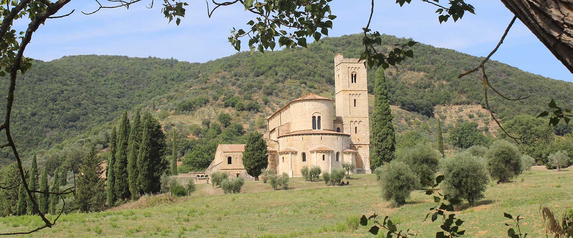 La Via Francigena da Siena a Bolsena