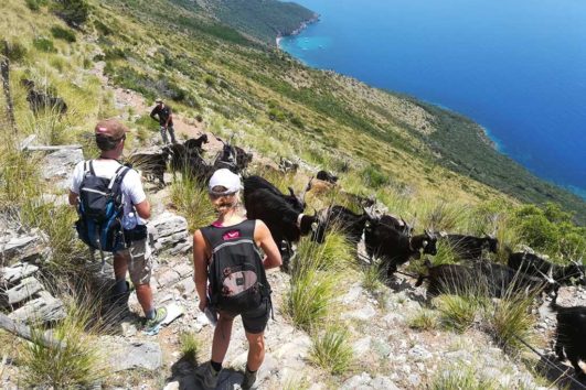 Trekking in Libertà